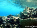 foto de buceo