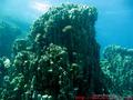 foto de buceo