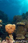 foto de buceo