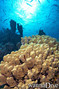 foto de buceo