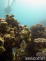 foto de buceo