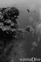 foto de buceo
