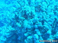 foto de buceo