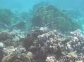 foto de buceo
