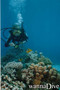 foto de buceo