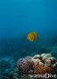 foto de buceo