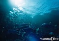 foto de buceo