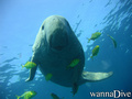 foto de buceo