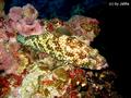foto de buceo