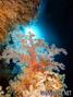 foto de buceo
