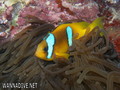 foto de buceo