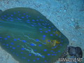foto de buceo