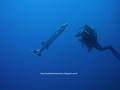 foto de buceo