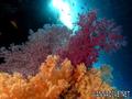 foto de buceo