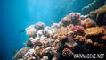 foto de buceo