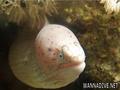 foto de buceo