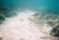 foto de buceo