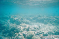 foto de buceo