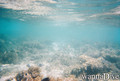 foto de buceo
