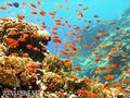 foto de buceo