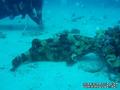 foto de buceo