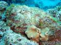foto de buceo
