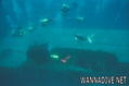 foto de buceo