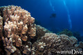 foto de buceo