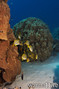 foto de buceo