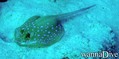 foto de buceo