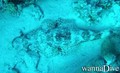 foto de buceo