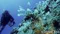 foto de buceo