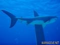 foto de buceo