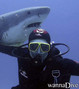 foto de buceo