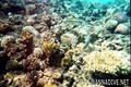 foto de buceo
