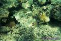 foto de buceo