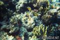 foto de buceo