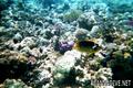 foto de buceo