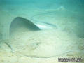 foto de buceo