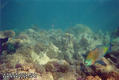 foto de buceo