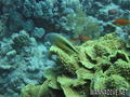 foto de buceo