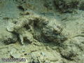 foto de buceo