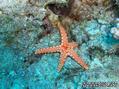 foto de buceo