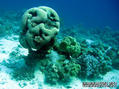 foto de buceo