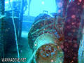 foto de buceo
