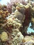 foto de buceo