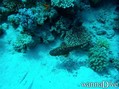 foto de buceo