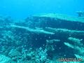 foto de buceo