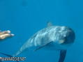 foto de buceo