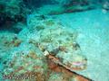 foto de buceo